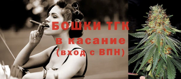 дурь Верхний Тагил