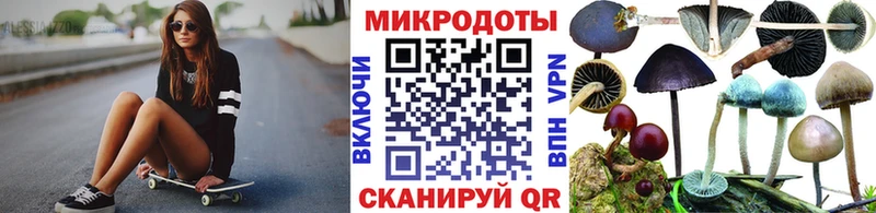 Псилоцибиновые грибы мицелий Зима