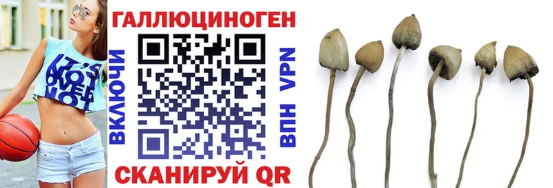 наркота  ОМГ ОМГ как войти  Галлюциногенные грибы мухоморы  Зима 